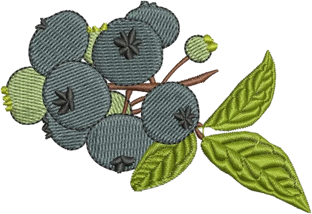 Diseño de bordado Arándano sobre tela