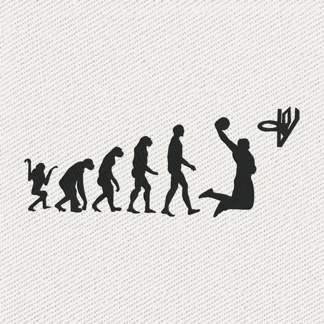 Basketball Evolution