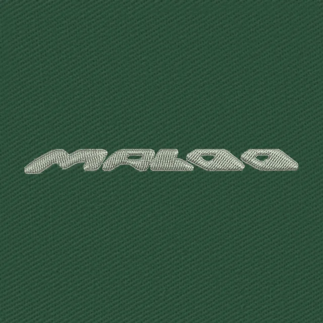 Silver HSV Maloo Wordmark