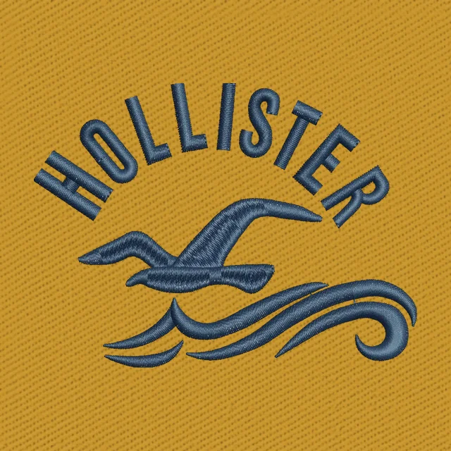 Logo Hollister Co 2