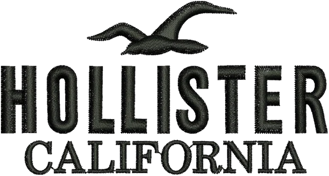 Ricamo Logo Hollister Co 3 su tessuto